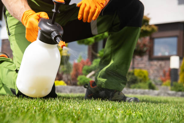 Best Wildlife Control Services  in Point Clear, AL