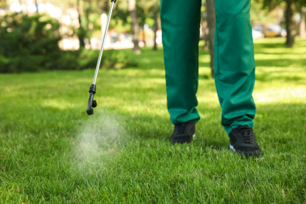 Best Flea Control Services  in Point Clear, AL
