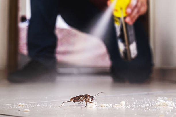 Best Pest Control for Businesses  in Point Clear, AL