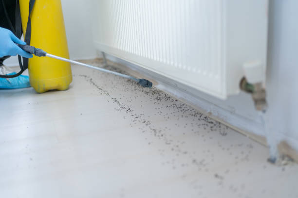 Best Residential Pest Control  in Point Clear, AL