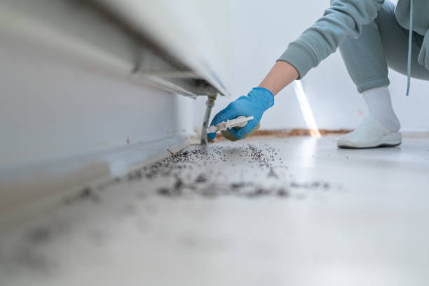 Professional Pest Control in Point Clear, AL
